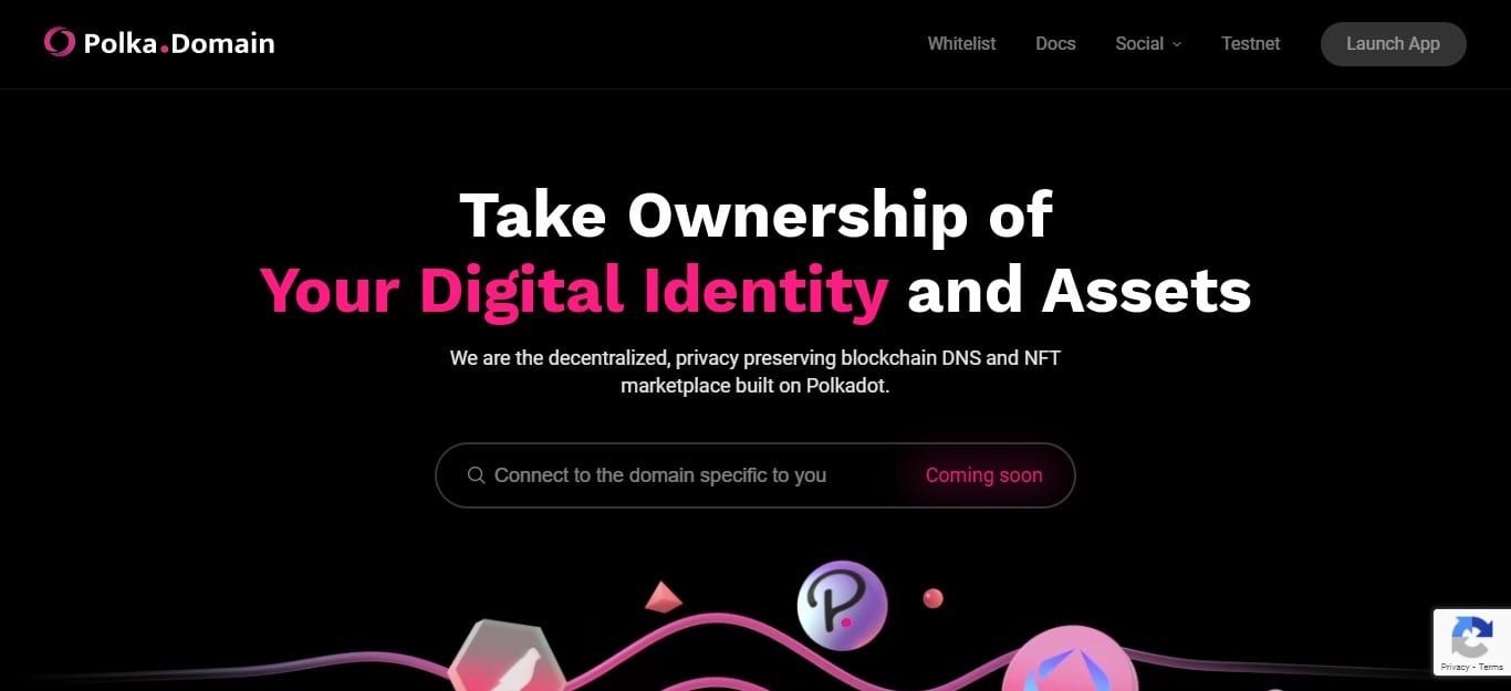Polkadomain.org Airdrop Review: Your Digital Identity and Assets